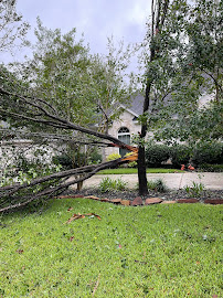 North Lake Tree Service