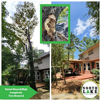 North Lake Tree Service