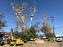 Arboriculture Tree Service Frisco