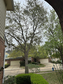 Cody's Tree Service, Inc.