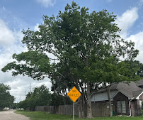 Cody's Tree Service, Inc.