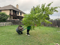 Liberty Tree Service