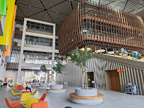 City University Ajman