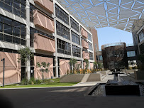 City University Ajman