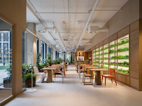 Green Table