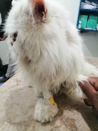 Pets & Avian Health Clinic (Appointments Only)