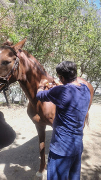 Askari veterinary branch 2 LALkurti panorama center Rawalpindi