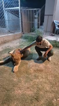 Askari veterinary branch 2 LALkurti panorama center Rawalpindi