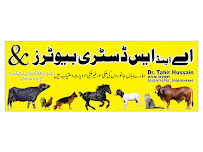 Royal Pets Hospital