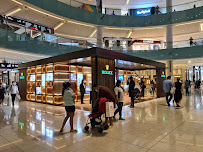 Watch Trade Company