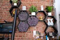 Nutrition by Tanya - Boro Park