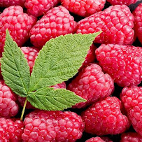 Japanese Foods Supplier| Imported Fruits & Vegetables, Frozen Japanese Items, Seafood, Islamabad, Pakistan