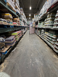 Ibis Wholesale Distributor