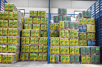 MS Group Textiles | Wholesale Used Clothes in UAE