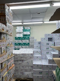 MODERN ARAB FUTURE COMPANY LIMITED (MAFCO)