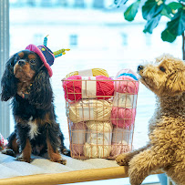 Fabians Haberdashery and Trimmings
