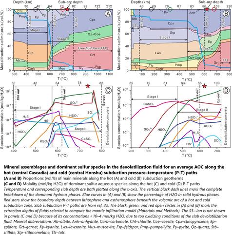 cross sections and charts - Mineral assemblages and dominant sulfur species in the devolatilization fluid for an average AOC along the hot (central Cascadia) and cold (central Honshu) subduction pressure–temperature (P-T) paths.