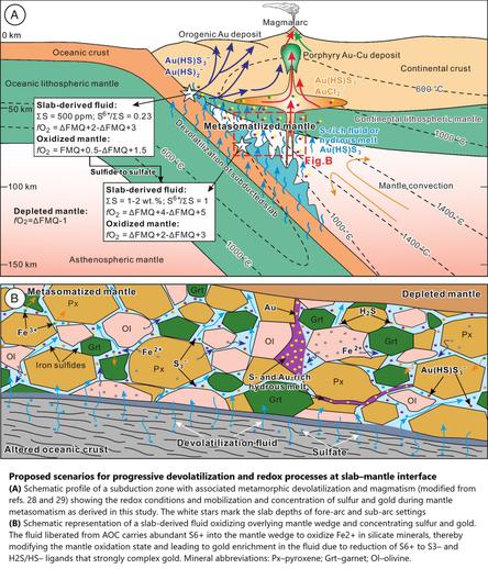 cross sections - Proposed scenarios for progressive devolatilization and redox processes at slab–mantle interface.