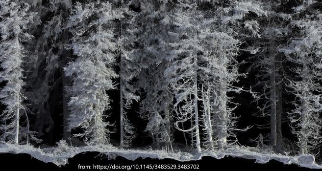 image - point cloud example - side of a forest