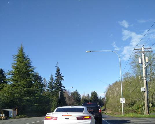 Stopped traffic on a two lane road with a 50mph posted speed limit and power lines along one side. Tall pine trees line both sides of the road and it's bright and sunny.