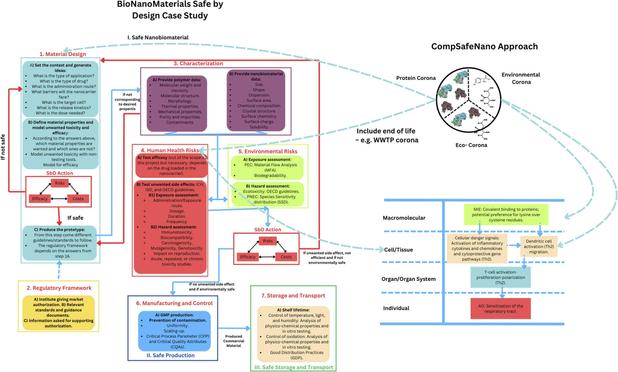 CompSafeNano project: NanoInformatics approaches for safe-by-design nanomaterials. Computational and Structural Biotechnology Journal, DOI: https://doi.org/10.1016/j.csbj.2024.12.024