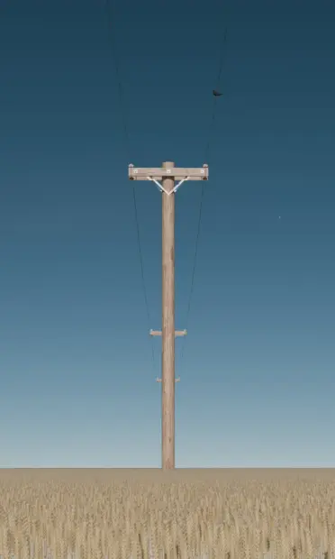 3D rendering of a line of telephone poles in a wheat field, diminishing one behind the other, with a small black bird perched on one wire and a clear blue sky above.
