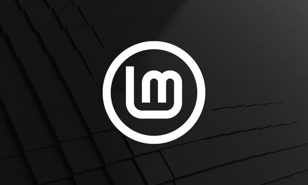 Linux Mint Debian Edition 6 Logo