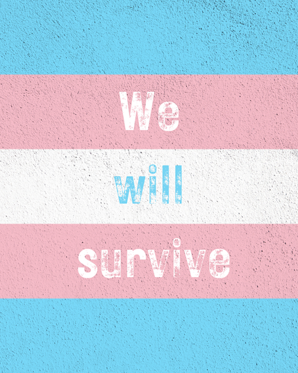 graphic showing the stripes of a trans flag with speckles as if it's been painted onto a wall. Writing on the graphic says: we will survive