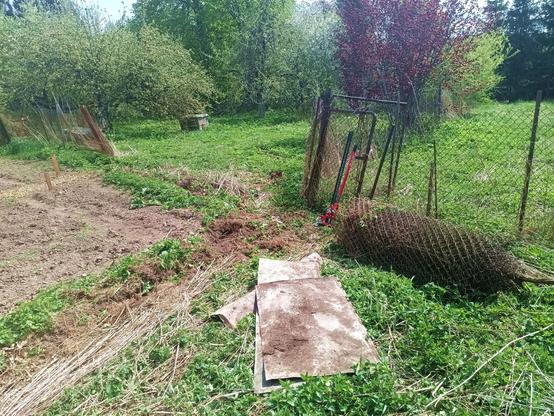 Back corner of the garden. A crooked double gate remains and some leaning section of finer mesh fence. A second goat pen is on the right. The old wire mesh fence is rolled around a branch on the ground. A red farm jack leans on the fence gate. A weedy ditch remains where the bottom of the old fence was torn out.