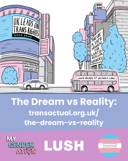 Illustration of a high street. A news screen on a big building says ‘UK leads on trans rights’, the sign over a shop says ‘new housing communities for older LGBTQ+ people’, the advert on a bus says ‘hate crimes at historic low’ and a billboard says ‘the UK a safe haven for LGBTQ+ asylum seekers’. Underneath the graphic text says ‘The Dream vs Reality: transactual.org.uk/the-dream-vs-reality
At the bottom of the graphic are the My Genderation, Lush and TransActual logos.
