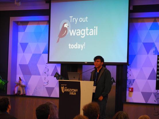 Sage in front of the "Try out Wagtail today" slides