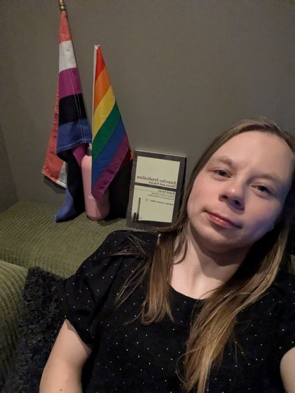 The image captures a woman, in her mid-20s, relaxing on a couch.

Behind them, two flags, one a rainbow flag and another a genderqueer flag, are prominently displayed, hinting at their involvement in LGBTQ+ activism.

A water bottle and a book titled "Anarcho-Syndicalism: Theory and Practice" are positioned nearby.