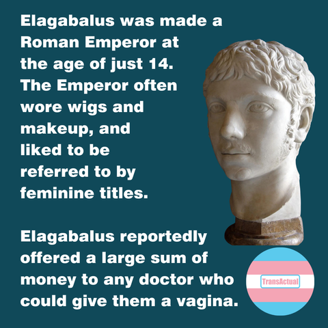 Photo of the head of a white marble statue head. Text: Elagabalus was made a Roman Emperor at the age of just 14. The Emperor often wore wigs and makeup, and liked to be referred to by feminine titles. Elagabalus reportedly offered a large sum of money to any doctor who could give them a vagina.