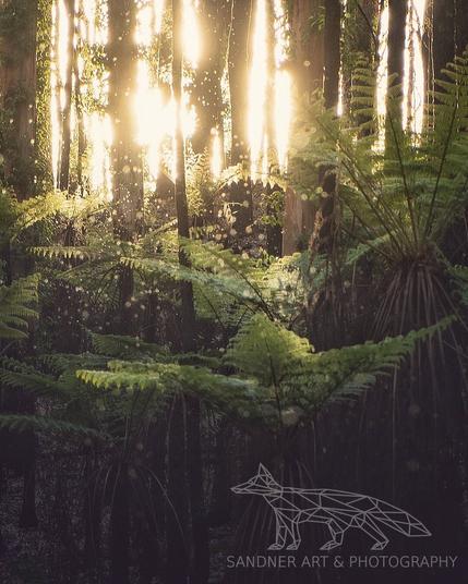 Late afternoon sunlight filters through tall mountain ash trees in a lush temperate rainforest. Ferns dominate the understory, their fronds lit with golden highlights. Countless specks of insects sparkle in the shafts of light, creating a magical, ethereal atmosphere. The scene is peaceful, warm, and alive with subtle forest movement.