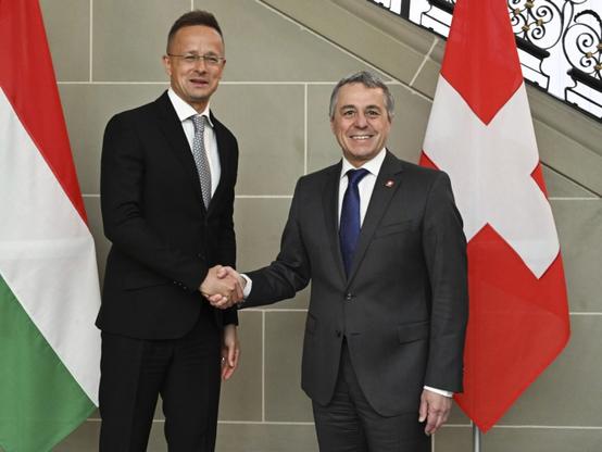Ministers discuss Swiss-EU deal with Italy and Hungary