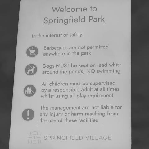 Welcome to Springfield Park 

in the interest of safety: 
 
Barbeques are not permitted, anywhere in the park 

Dogs MUST be kept on lead whist around the ponds, NO swimming 

All children must be supervised by a responsible adult at all times whilst using all play equipment 

The management are not liable for any injury or harm resulting from the use of these facilities 

SPRINGFIELD VILLAGE 

You are Number 6