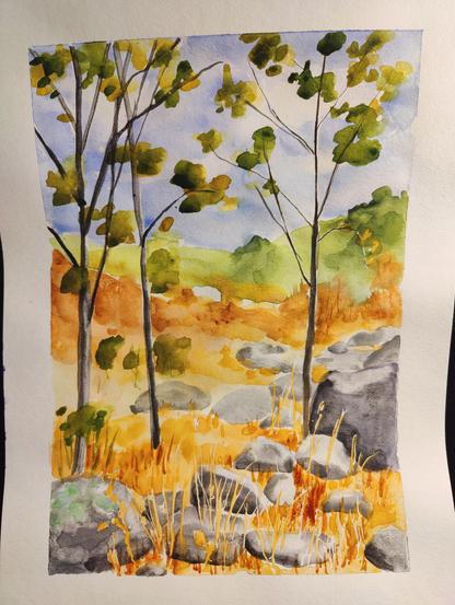 A landscape with dry grasses, three trees, and lots of rocks.
