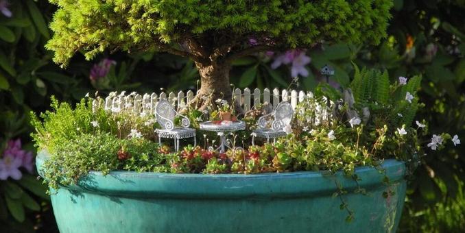 Fairy Gardens Are Going Viral — Here's How to DIY Your Own