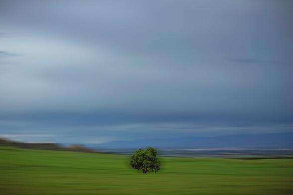 In the lower center, a green tree can be seen on a blurred background in motion (Adamski effect).