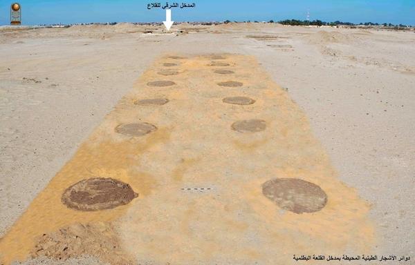 a photo showing where trees were planted in a desert landscape
