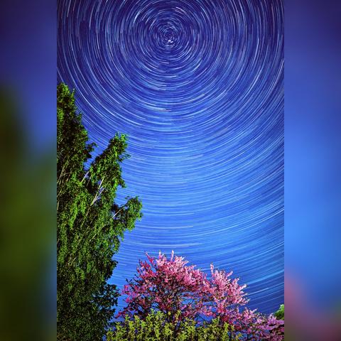 Star trails