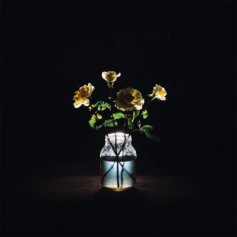 An image of the cover of the album 'Renewal' by Billy Strings