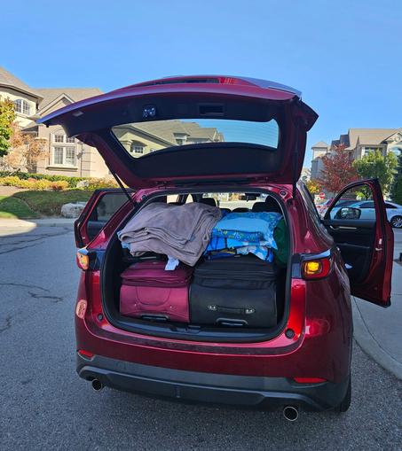 🚗Ride Pals Haul And Transport Riders With Heavy Luggage And Bike