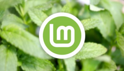 Media source: https://i0.wp.com/www.omgubuntu.co.uk/wp-content/uploads/2021/01/linux-mint.jpg?resize=406,232&ssl=1