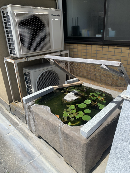fish tank