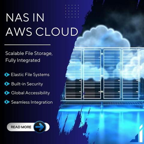 NAS in AWS Cloud