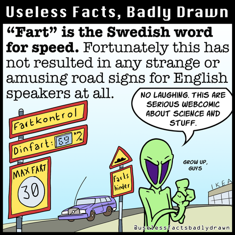 "Fart" is the Swedish word for speed. Fortunately this has not resulted in any strange or amusing road signs for English speakers at all.