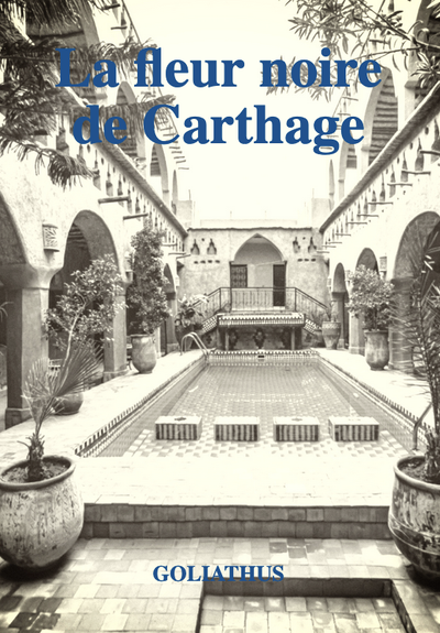 Couverture de ma nouvelle de fiction littéraire " La Fleur noire de Carthage" représentant un jardin intérieur dans une maison évoquant Carthage.