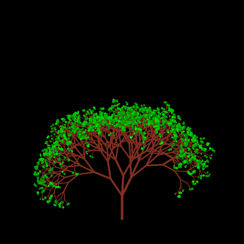 A computer generated fractal tree