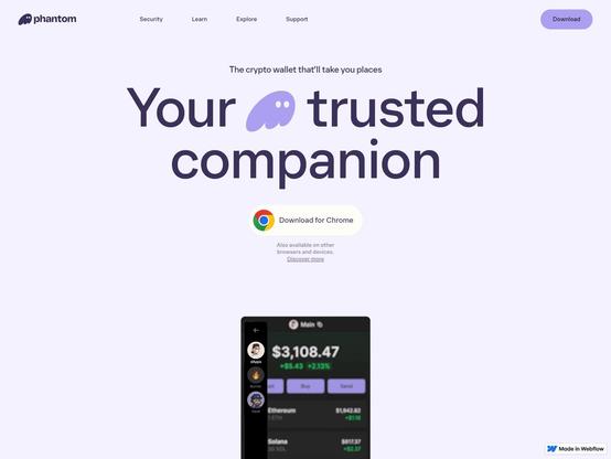 Screenshot of phishing site